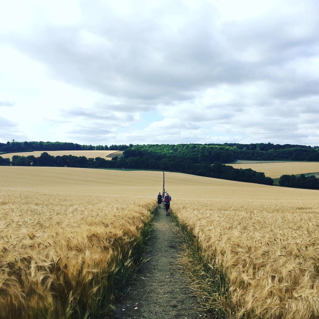 Completing my first 50km (plus 1km extra) ultra&nbsp;marathon