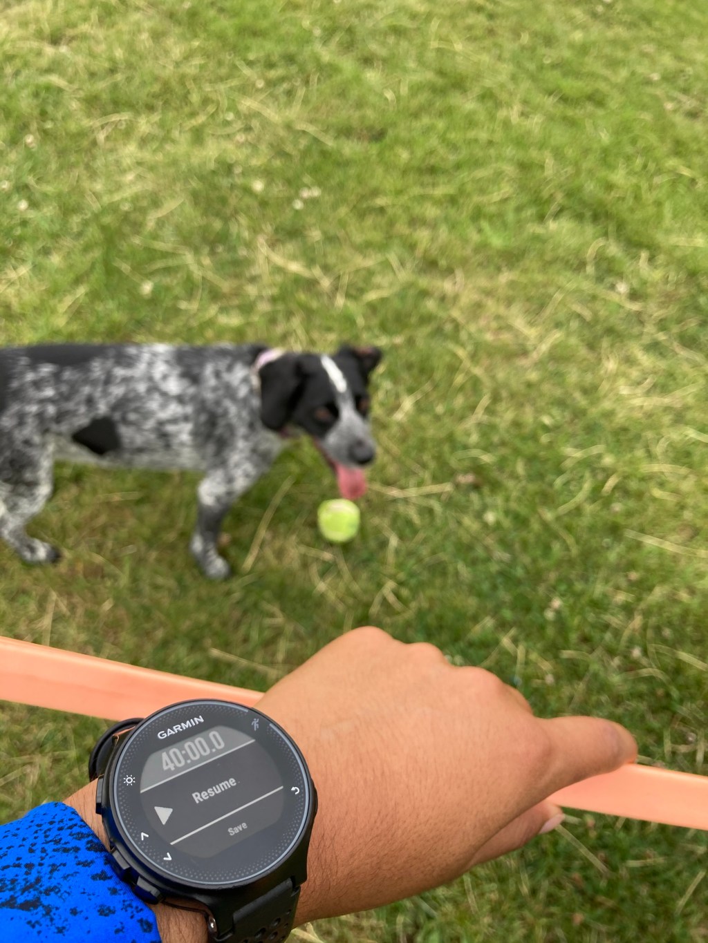 Gradually building back up my running&nbsp;mileage