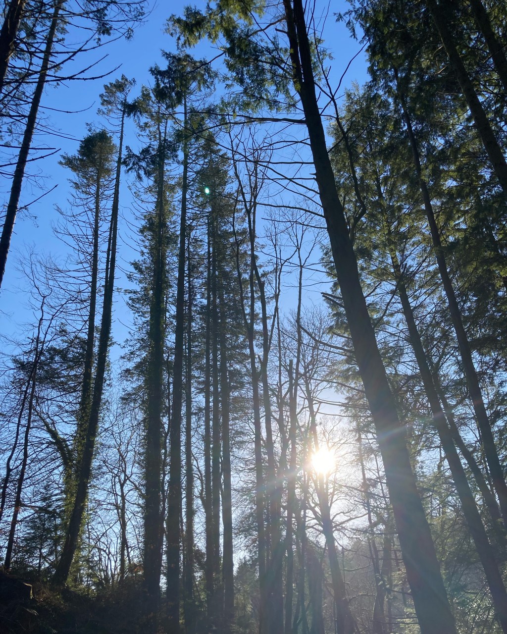 What is your&nbsp;why?